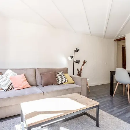 Appartement Le Saint Jean - Rue Carnot Pour 2 - 4 Pers Annecy